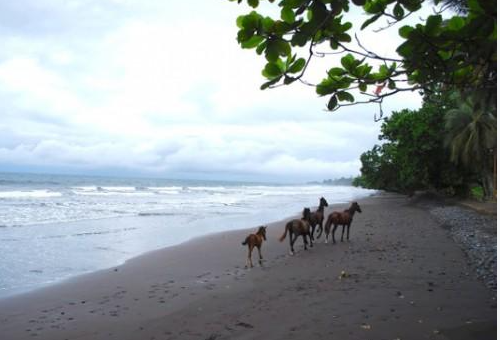 Plages Limbe